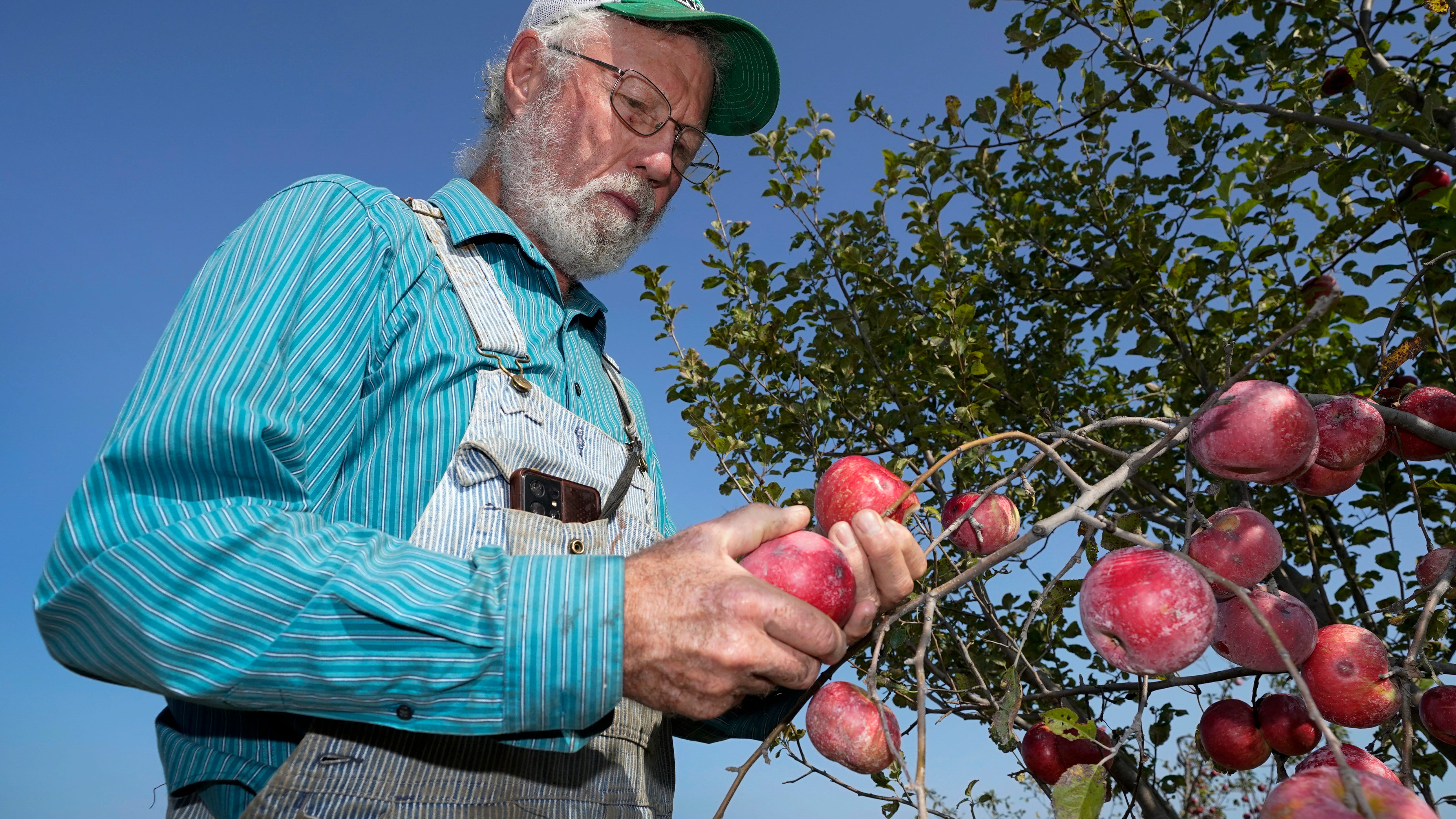 More consumers buying organic, but US farmers still wary