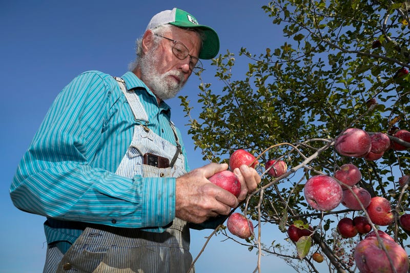Organic Farmers Wanted