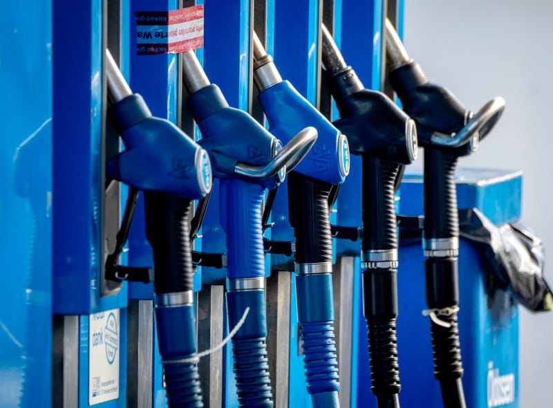 Germany Energy Opec