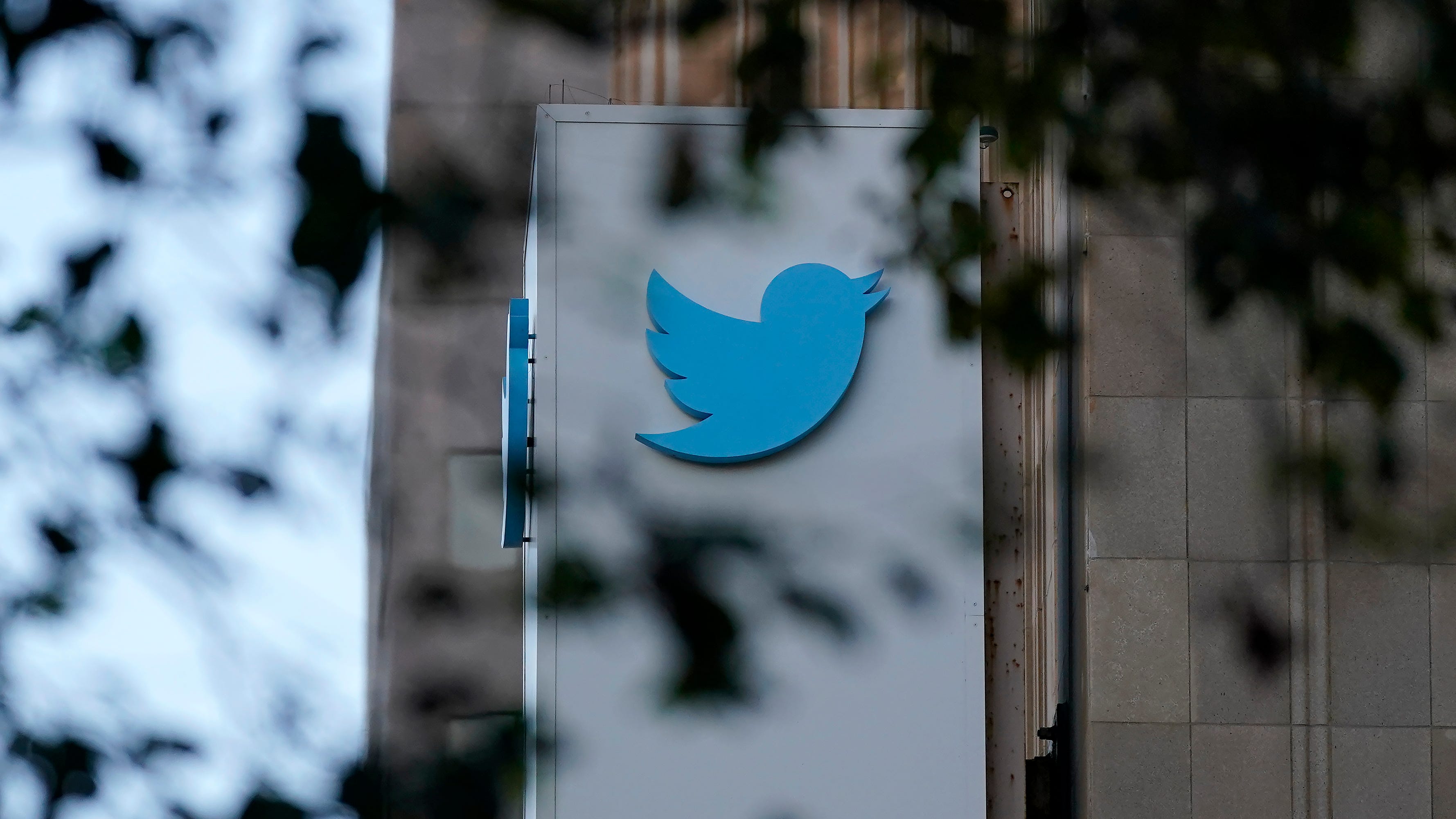 Elon Musk takes over Twitter but where will he go from here?