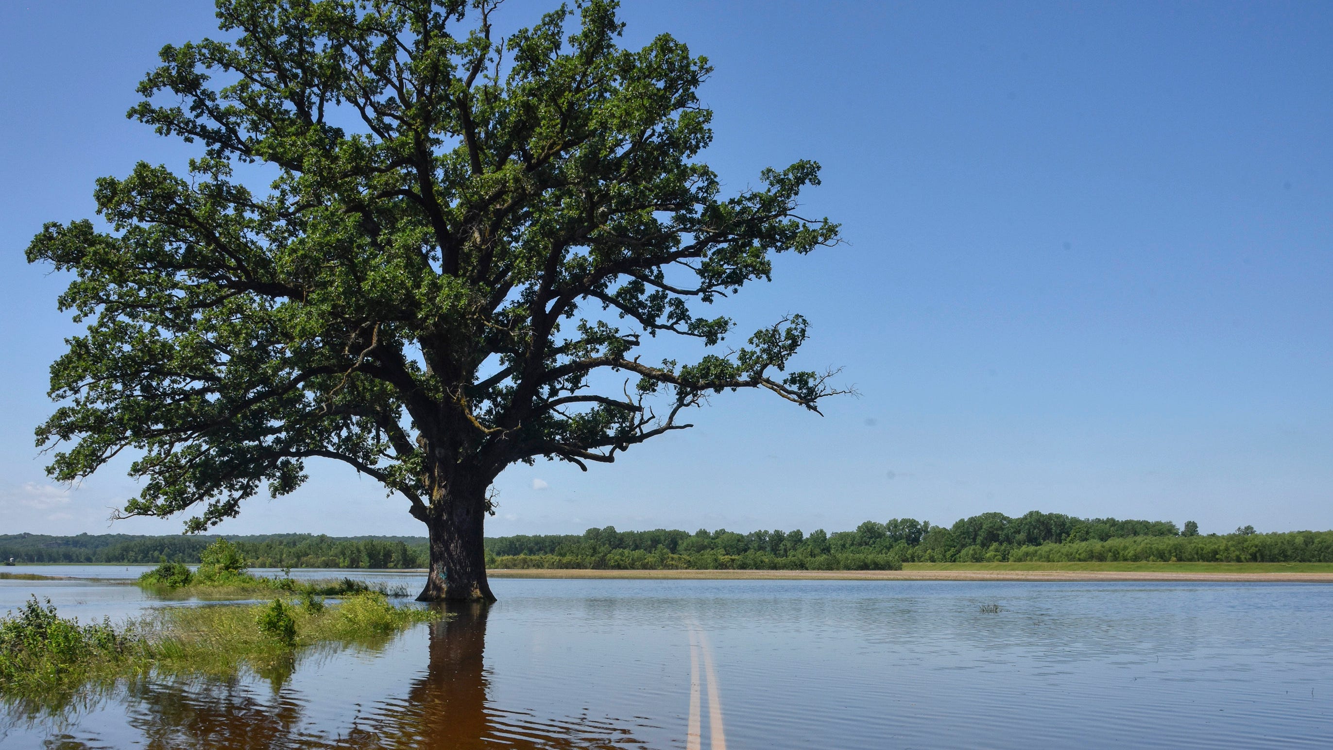 The Big Sneeze: Climate change to make pollen season nastier