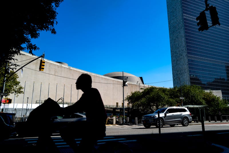 United Nations General Assembly