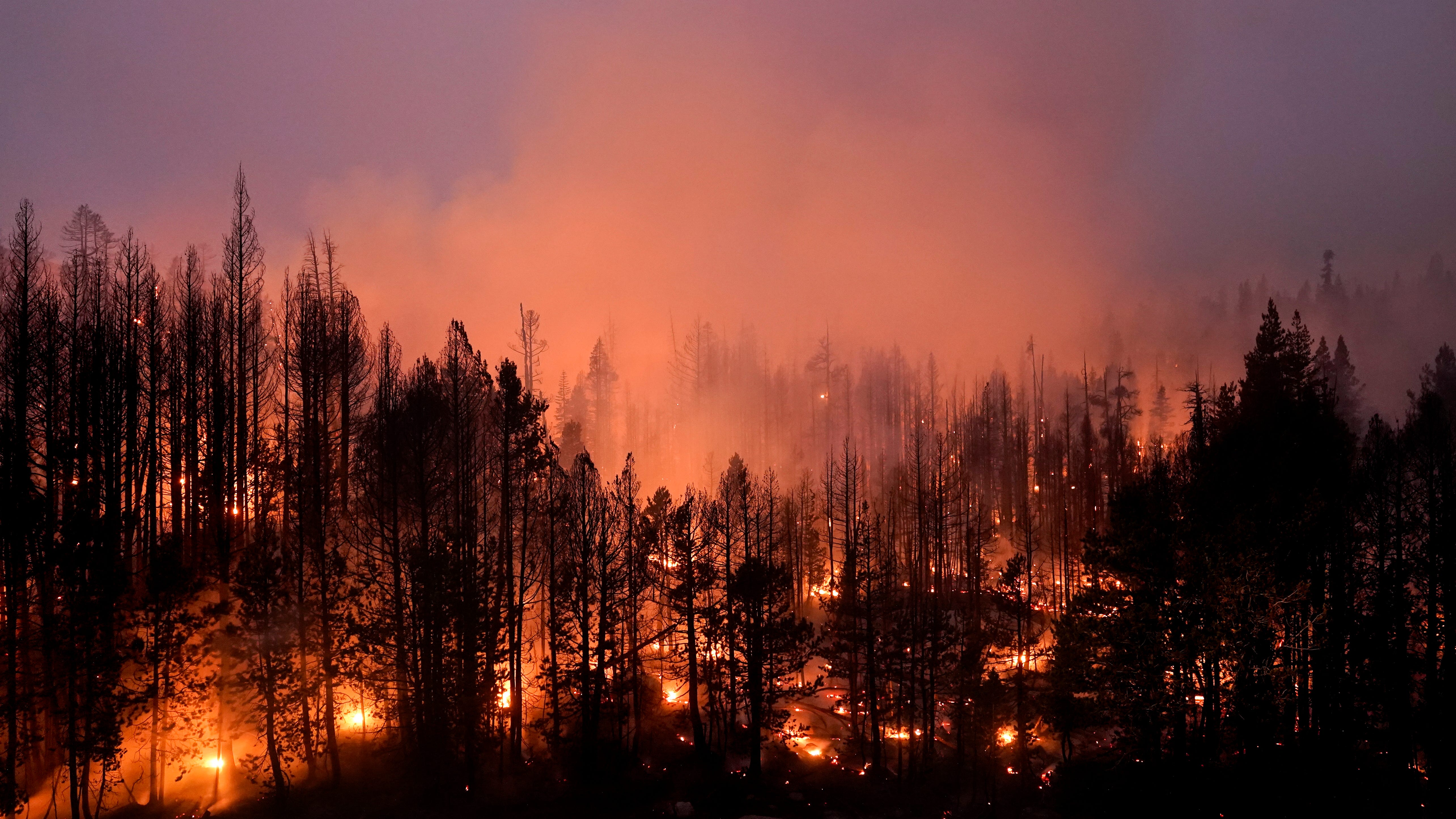 US plans $50B wildfire fight where forests meet suburbia