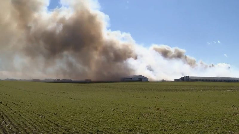 US Farm Fire Hogs Killed
