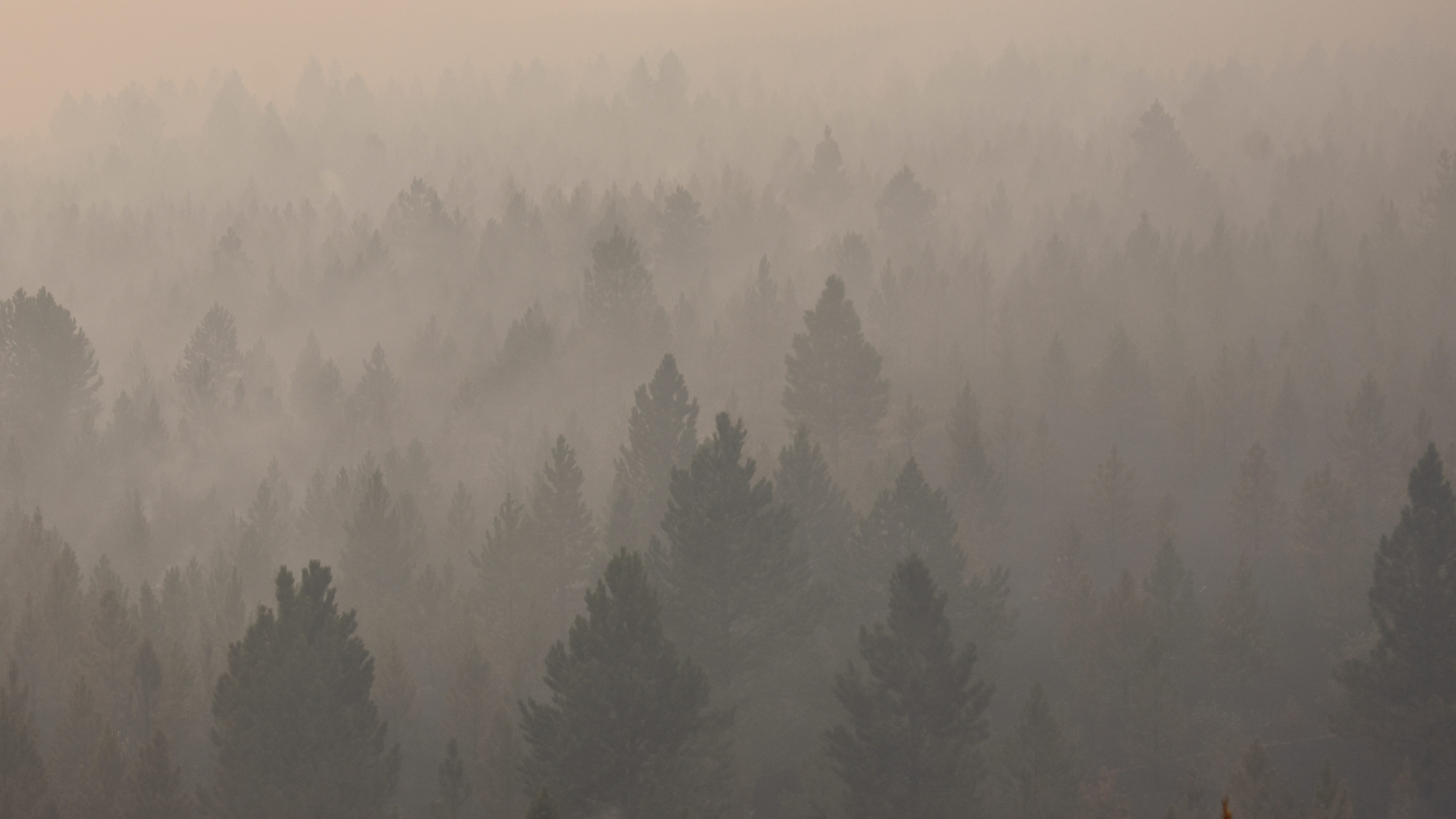 Gaps in US wildfire smoke warning network leave many exposed
