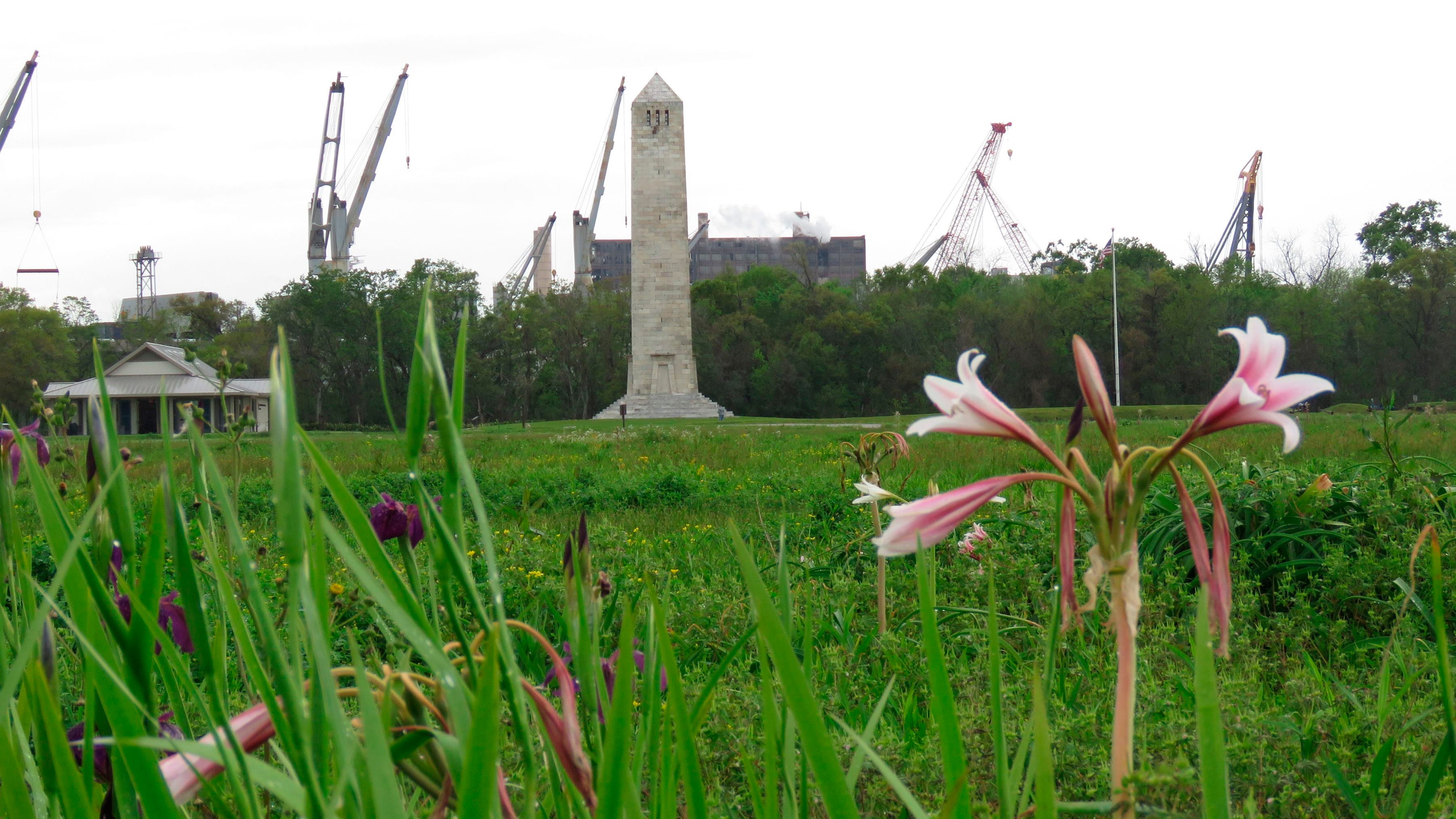 National park battlefield irises may mark razed Black homes