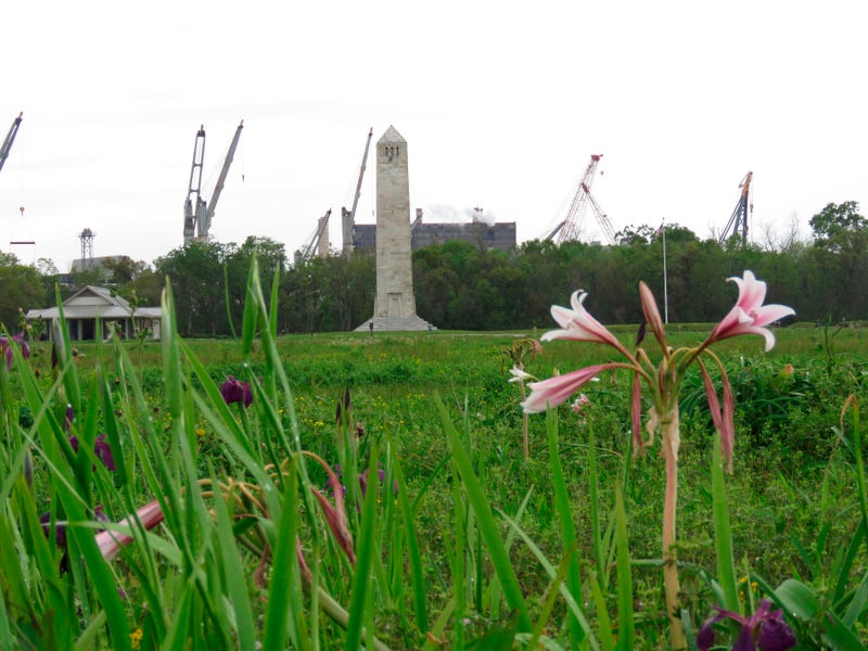 Battlefield Iris Razed Black Homes