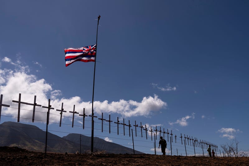 APTOPIX Hawaii Fires