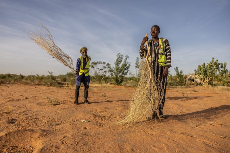 Mauritania Desert Firefighters