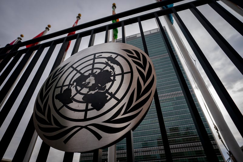 Philanthropy-United Nations