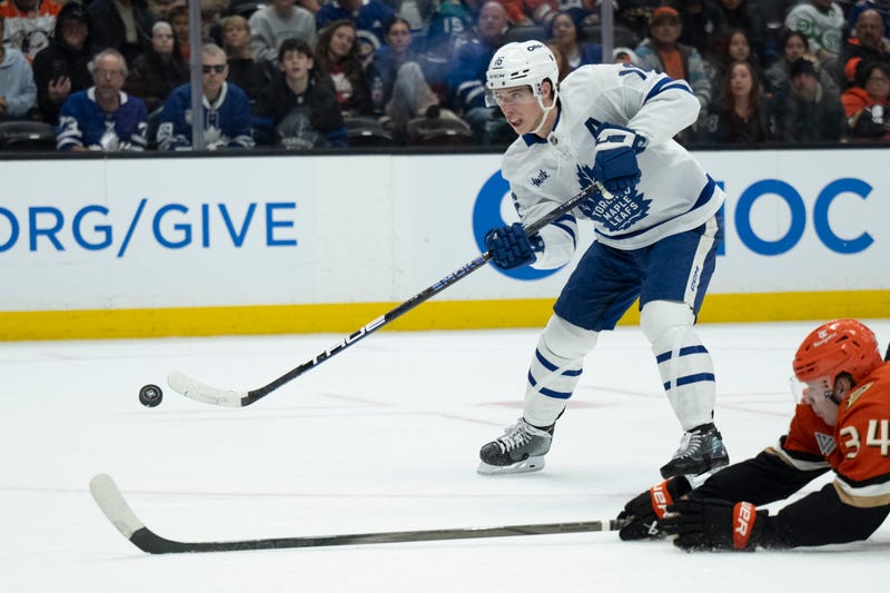 Free Agency Preview Hockey