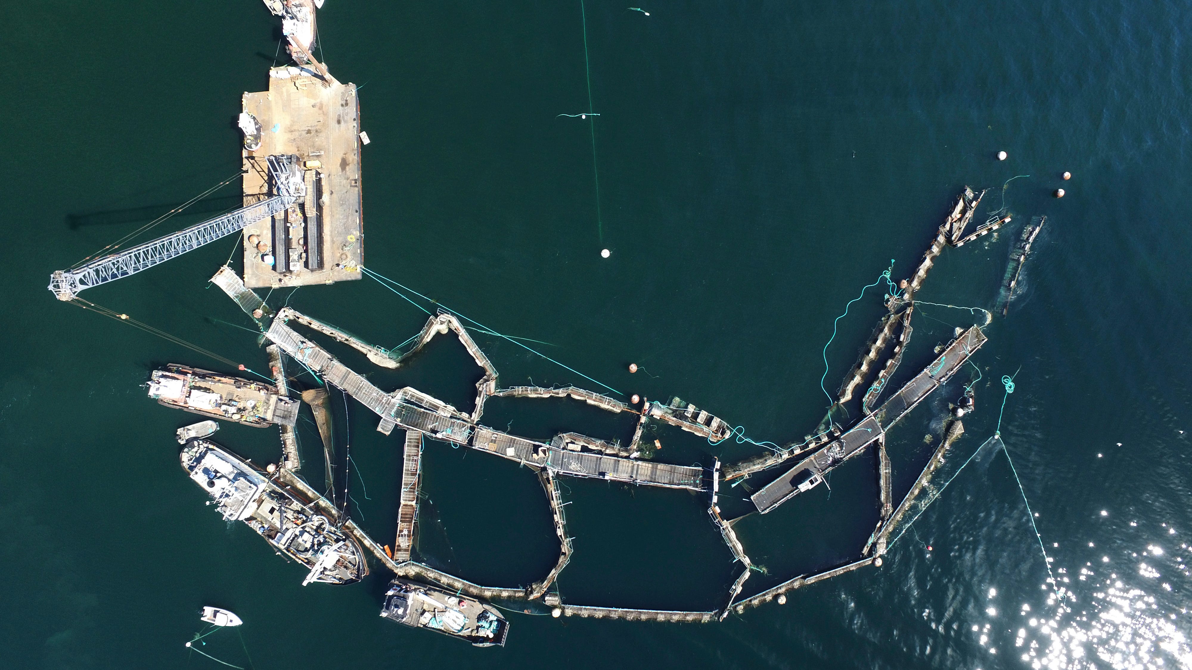 Washington bans fish-farming net pens, citing salmon threat