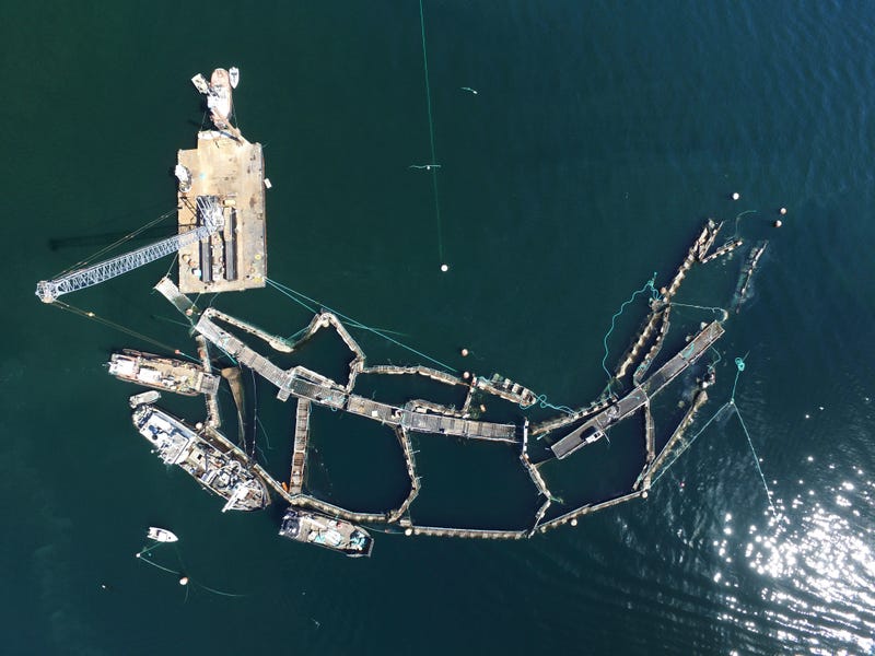 Aquaculture Washington State