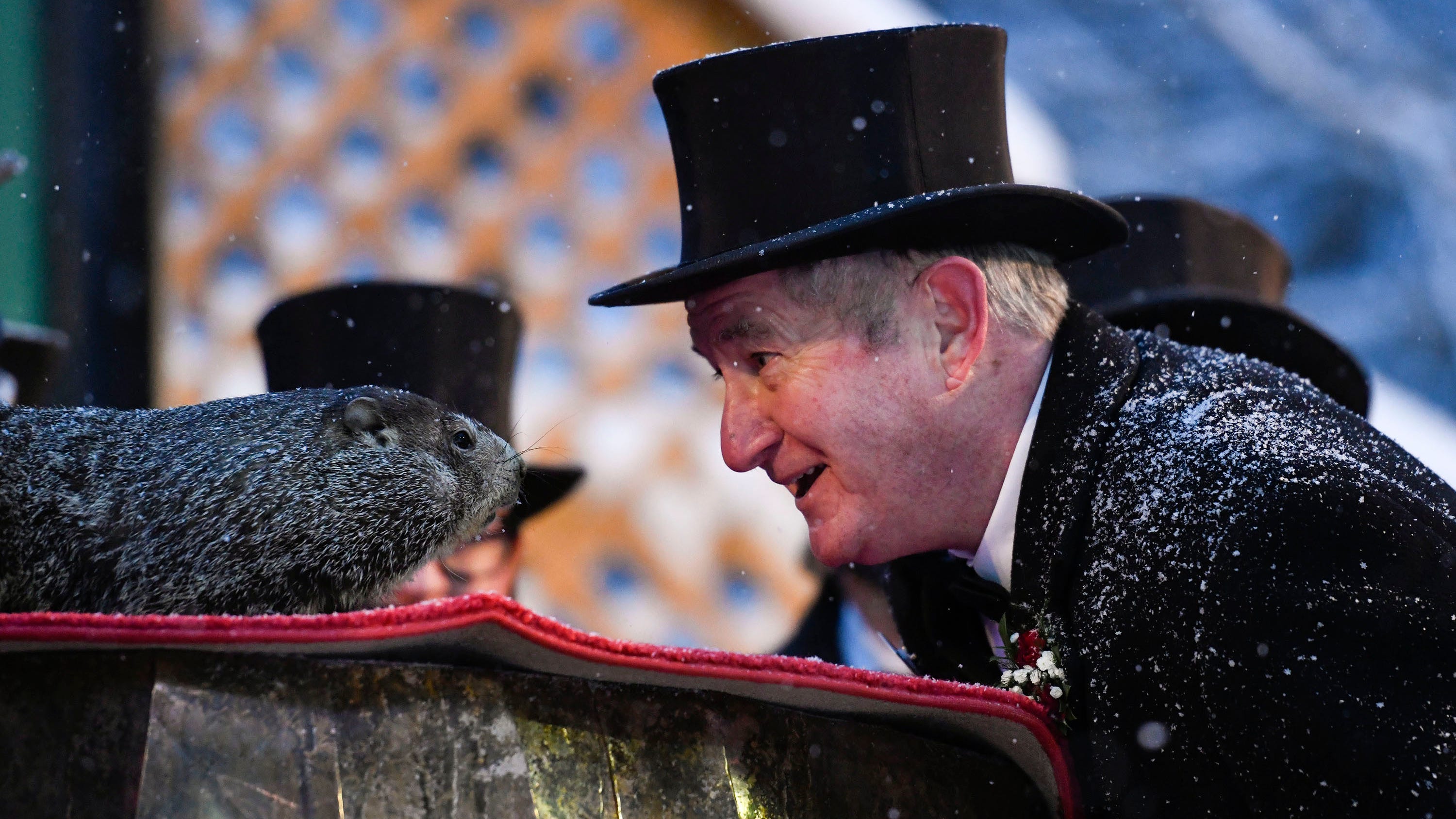 A gloomy Groundhog Day: Punxsutawney Phil says more winter