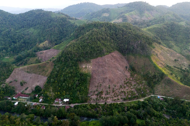 Indonesia Deforestation Data
