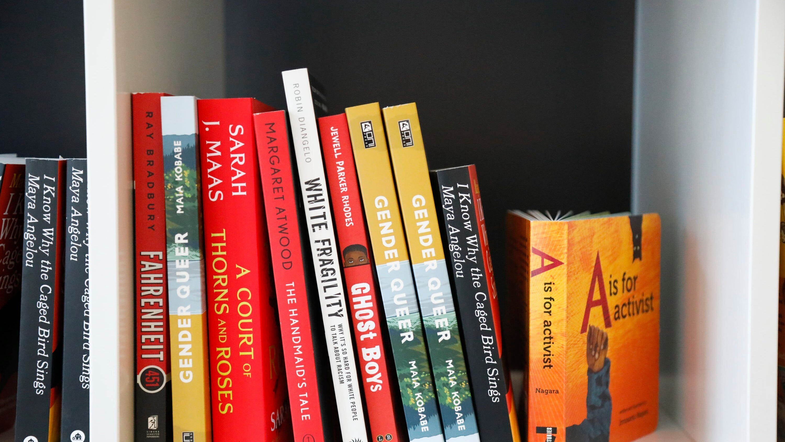 School library book bans are seen as targeting LGBTQ content