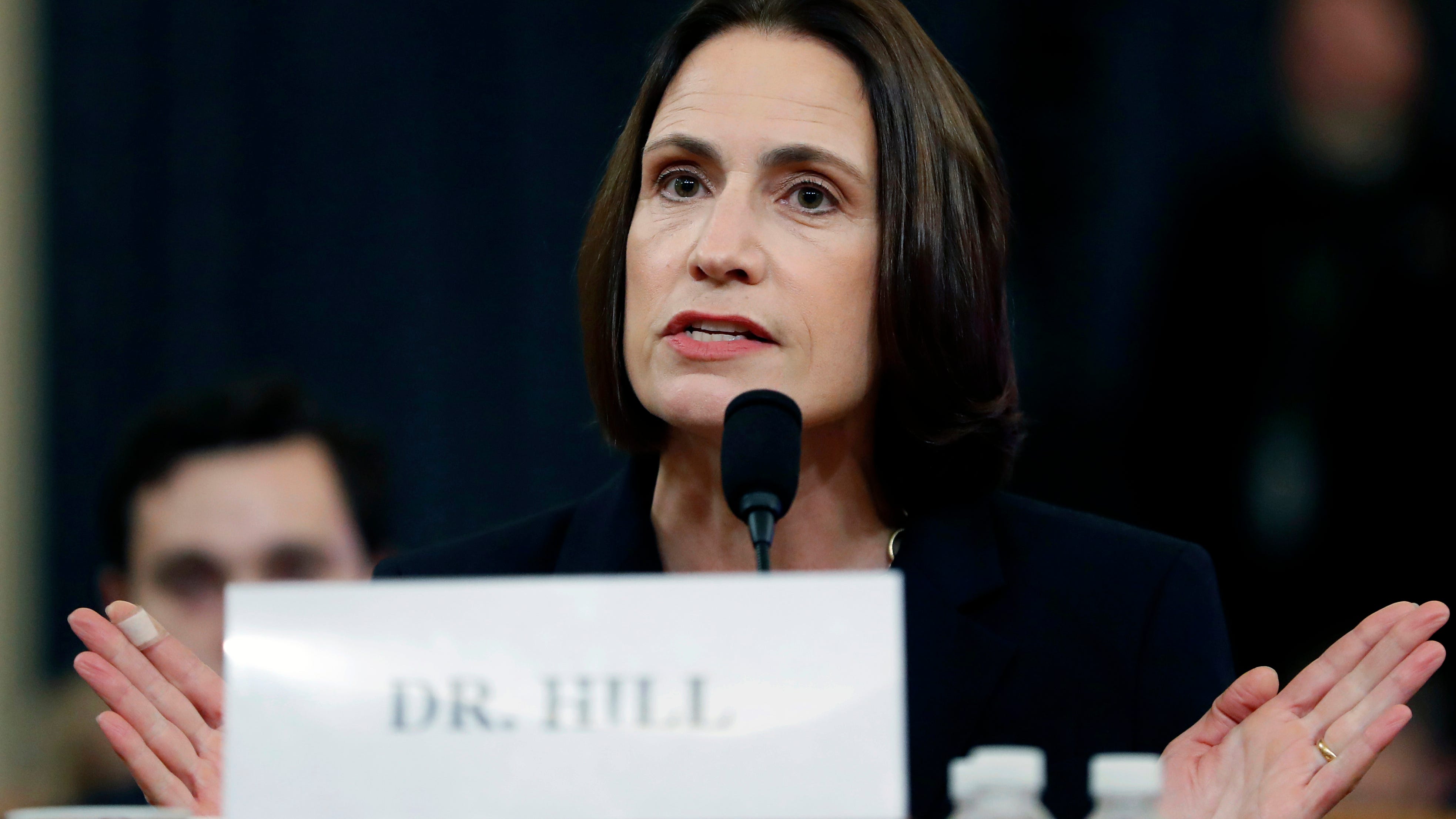 Fiona Hill, a nobody to Trump and Putin, saw into them both