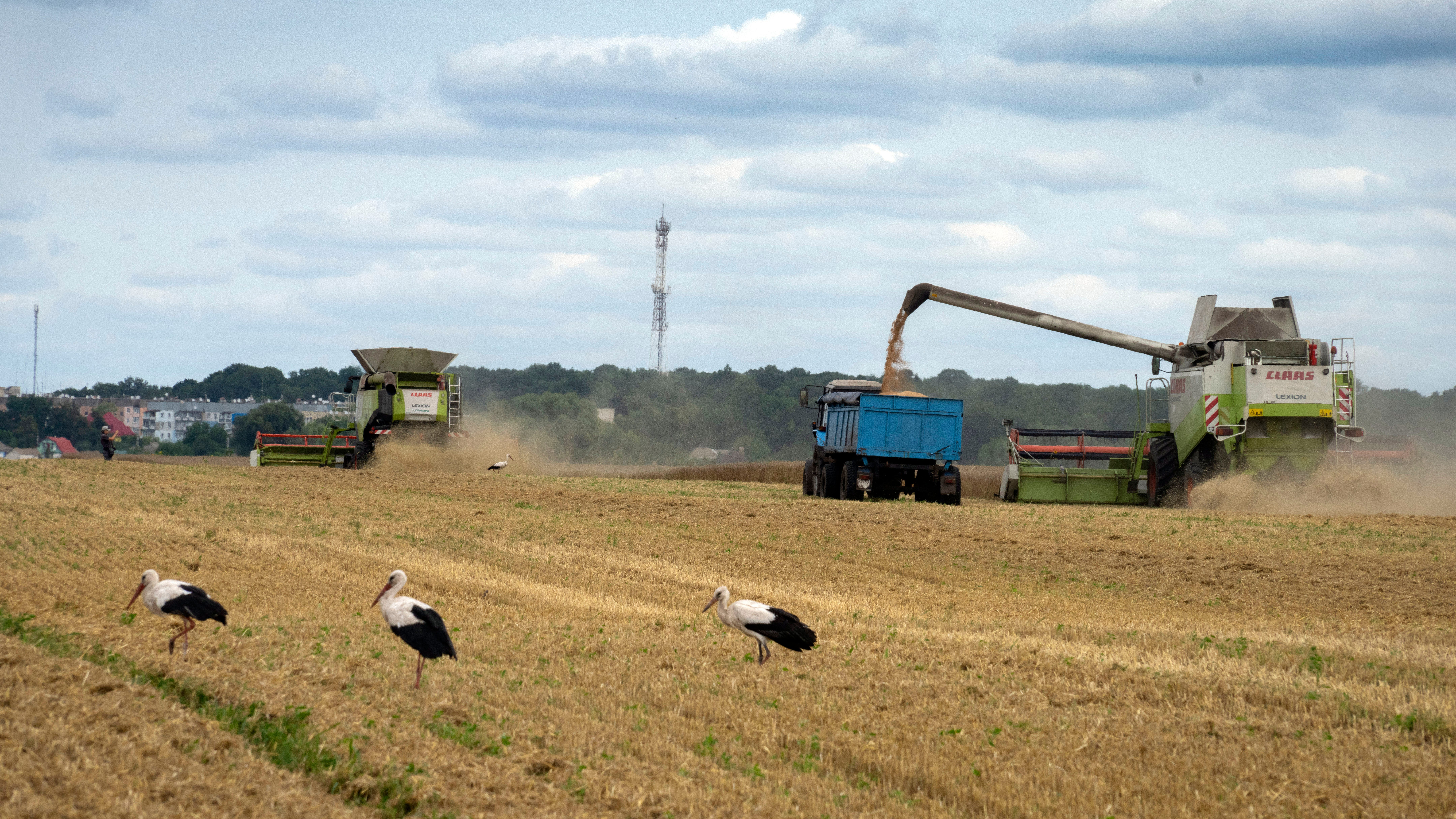 Russia halted a landmark deal that allowed Ukraine to export grain at a time of growing hunger