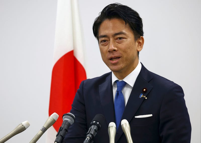 Japan Politics Explainer