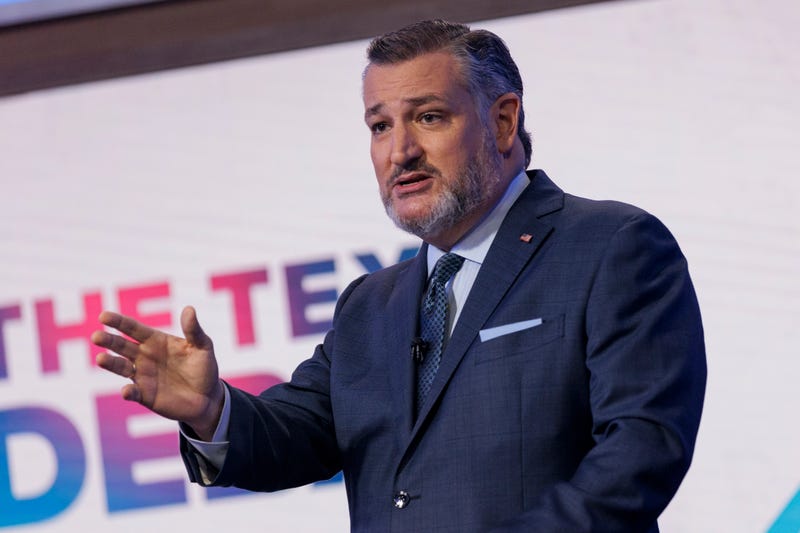 Election 2024 Texas Senate