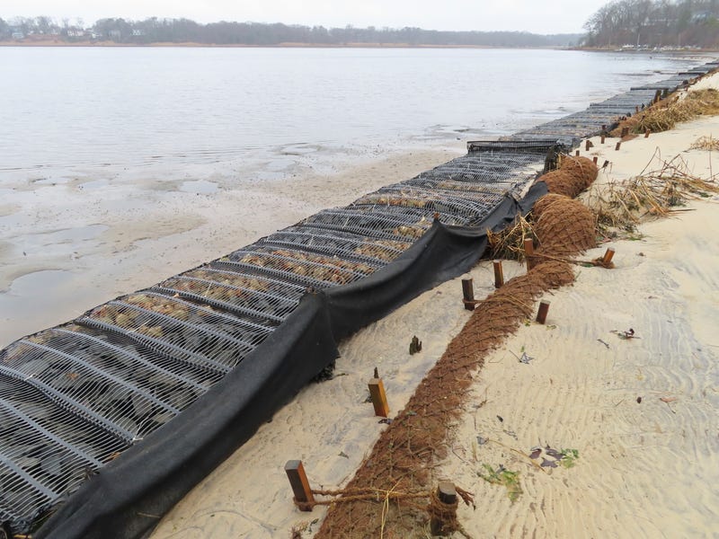 Coconuts Shoreline Protection
