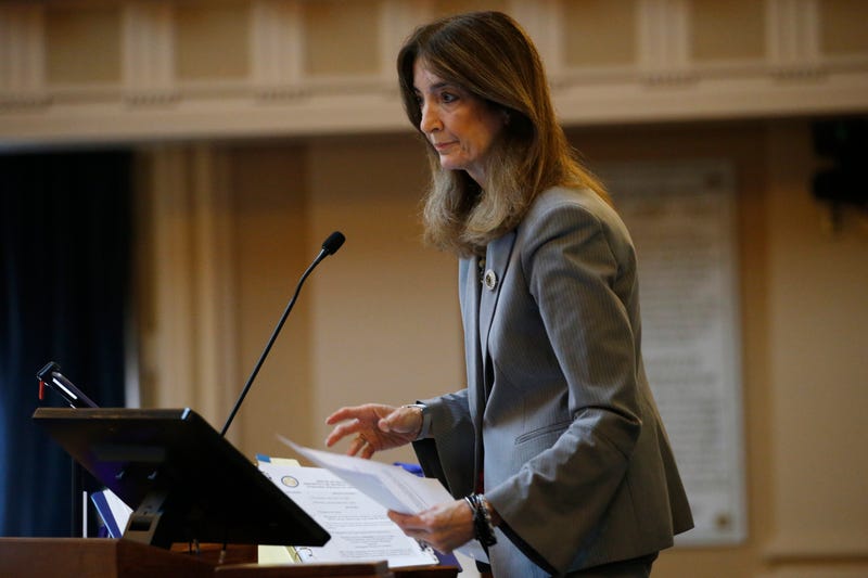 Election 2024 Virginia