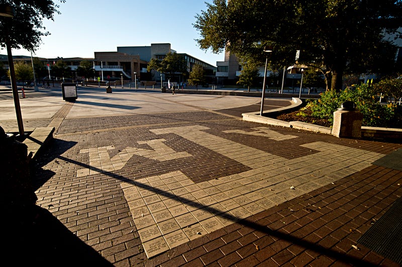 Texas Professor Fired