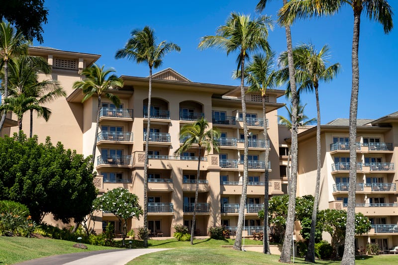 Hawaii Wildfire Tourists Return