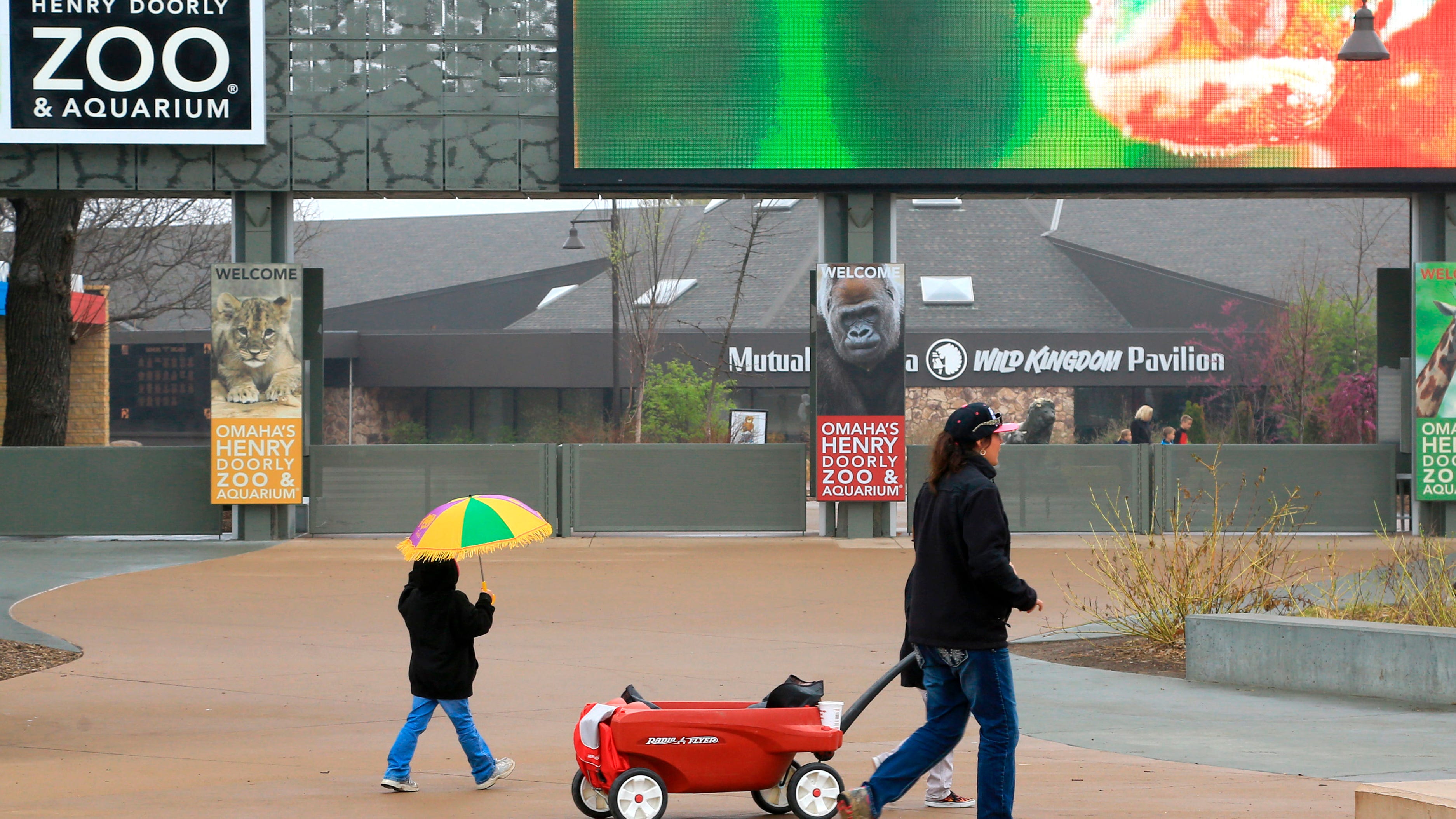 Bird flu case prompts Omaha zoo to close several exhibits