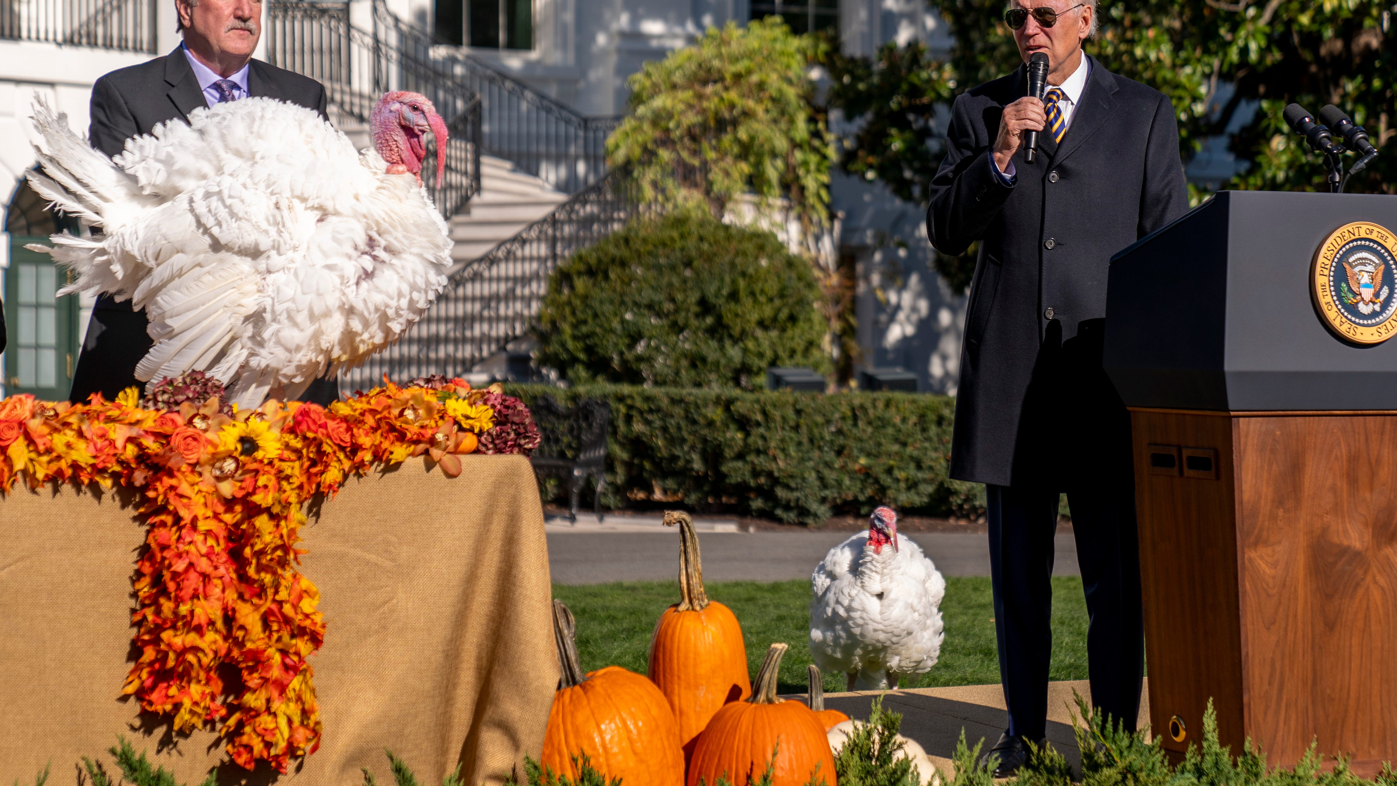 Biden opens holidays, pardons turkeys Chocolate and Chip