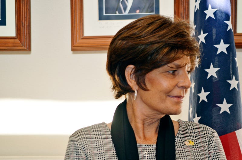 Election 2024 Congress Redistricting