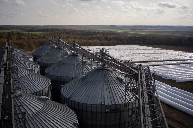 Russia Ukraine War Grain