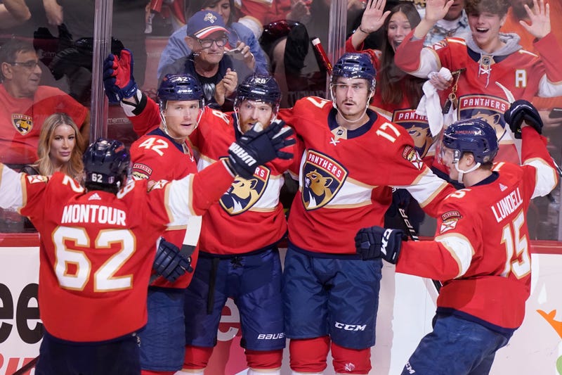 Capitals Panthers Hockey