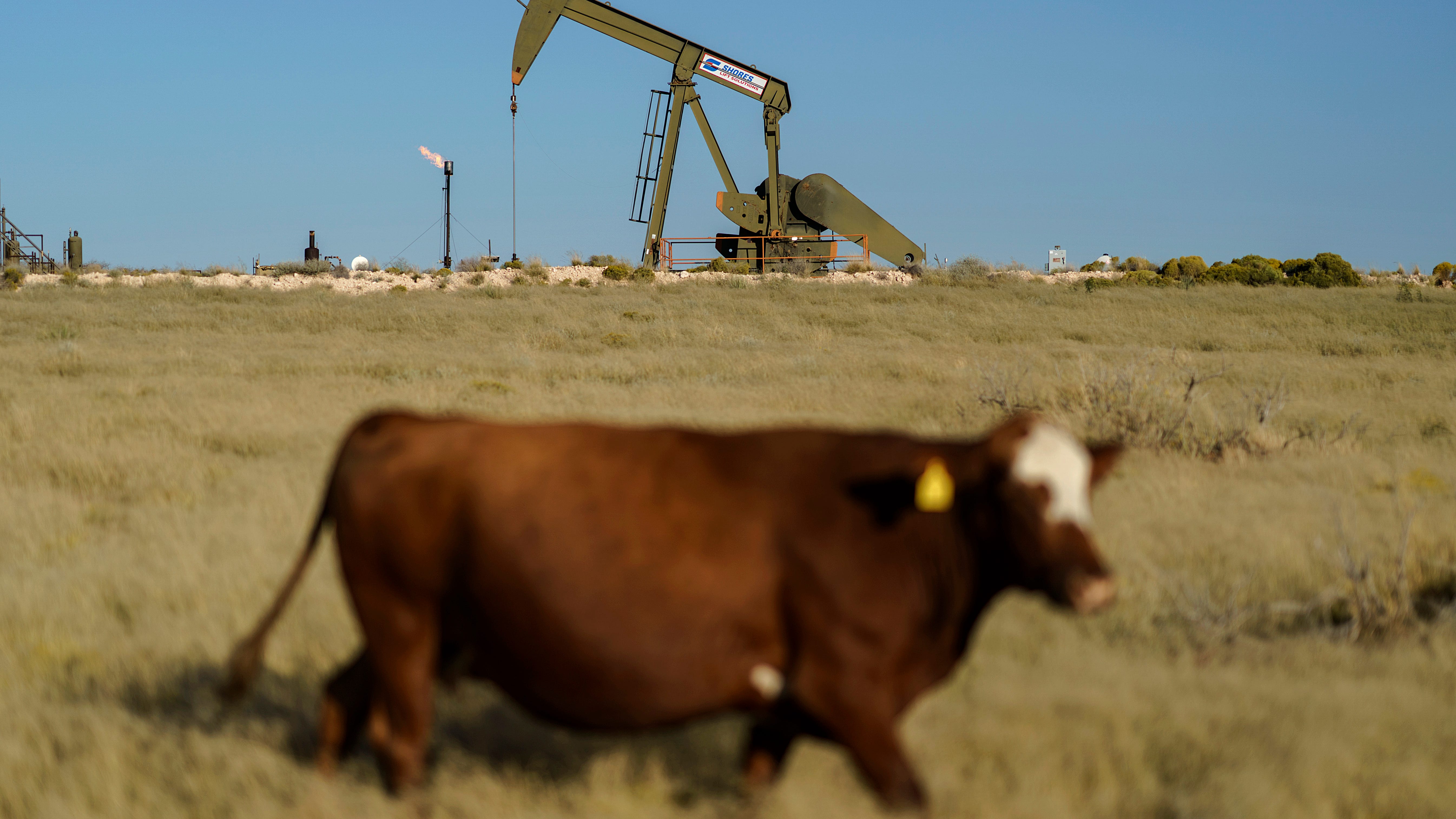 UN weather agency: Greenhouse gases reach new record in 2021