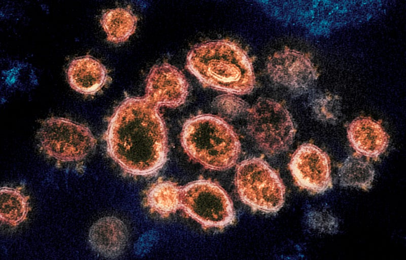Virus Outbreak-Pfizer-Pill