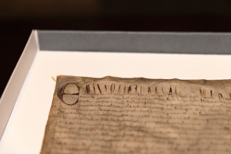 Harvard Magna Carta