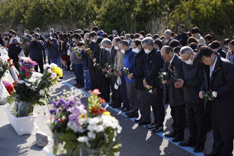 Japan Nuclear Fukushima Explainer