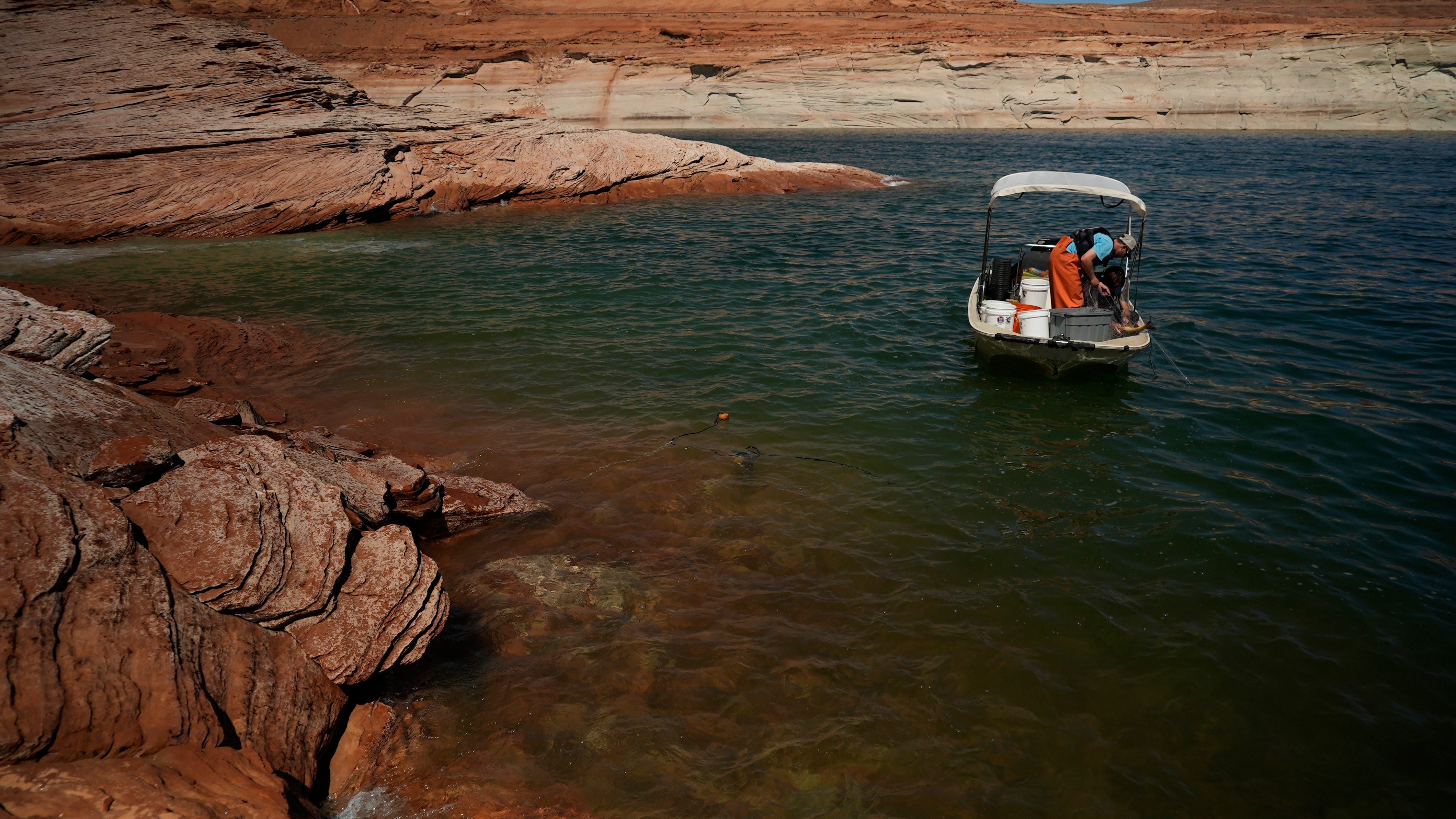 Biologists try to save ancient fish as Colorado River fades