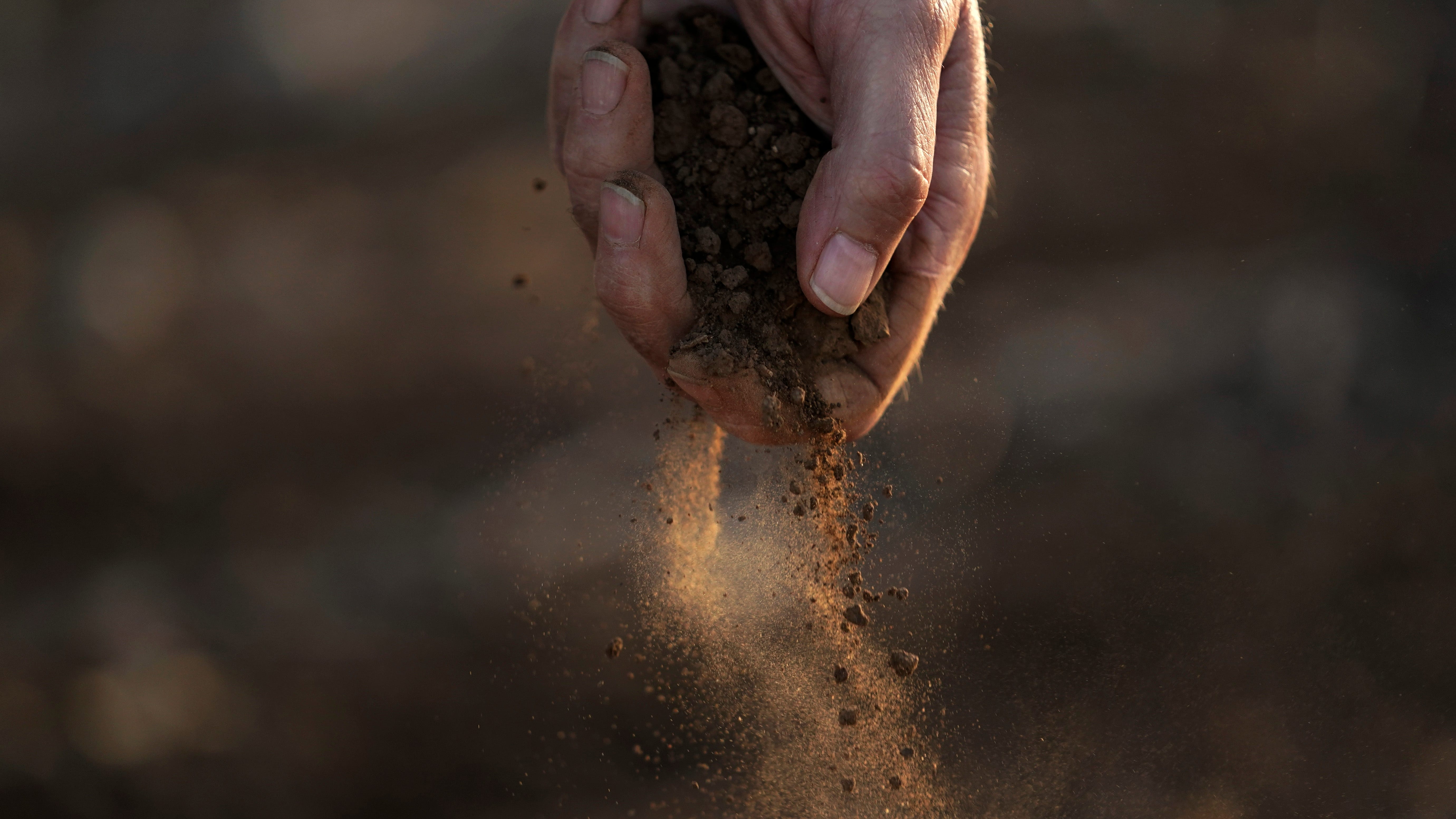 As Earth warms, more 'flash droughts' suck soil, plants dry