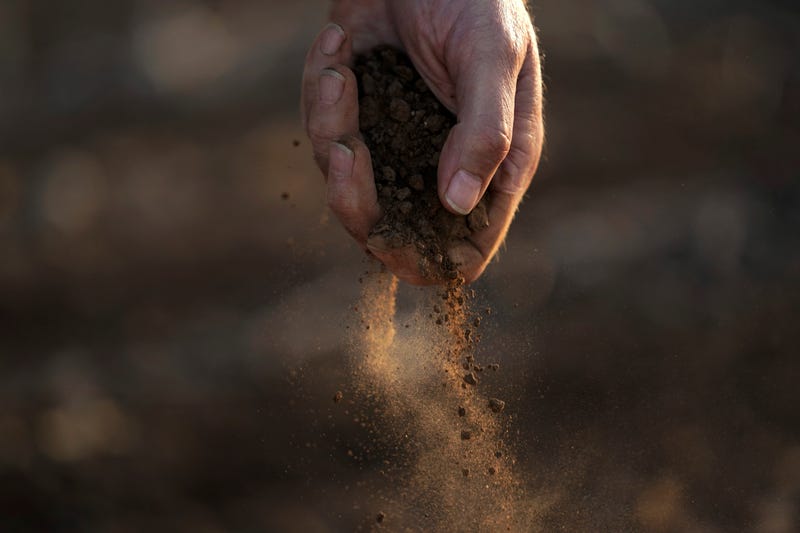 Climate Sudden Drought