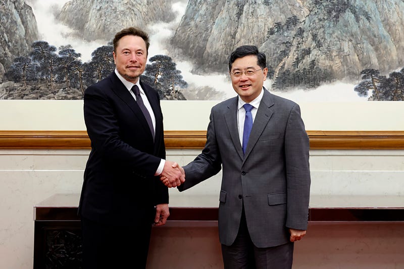 China Elon Musk
