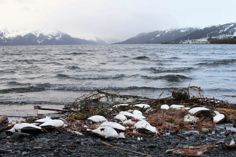 Arctic Report Card