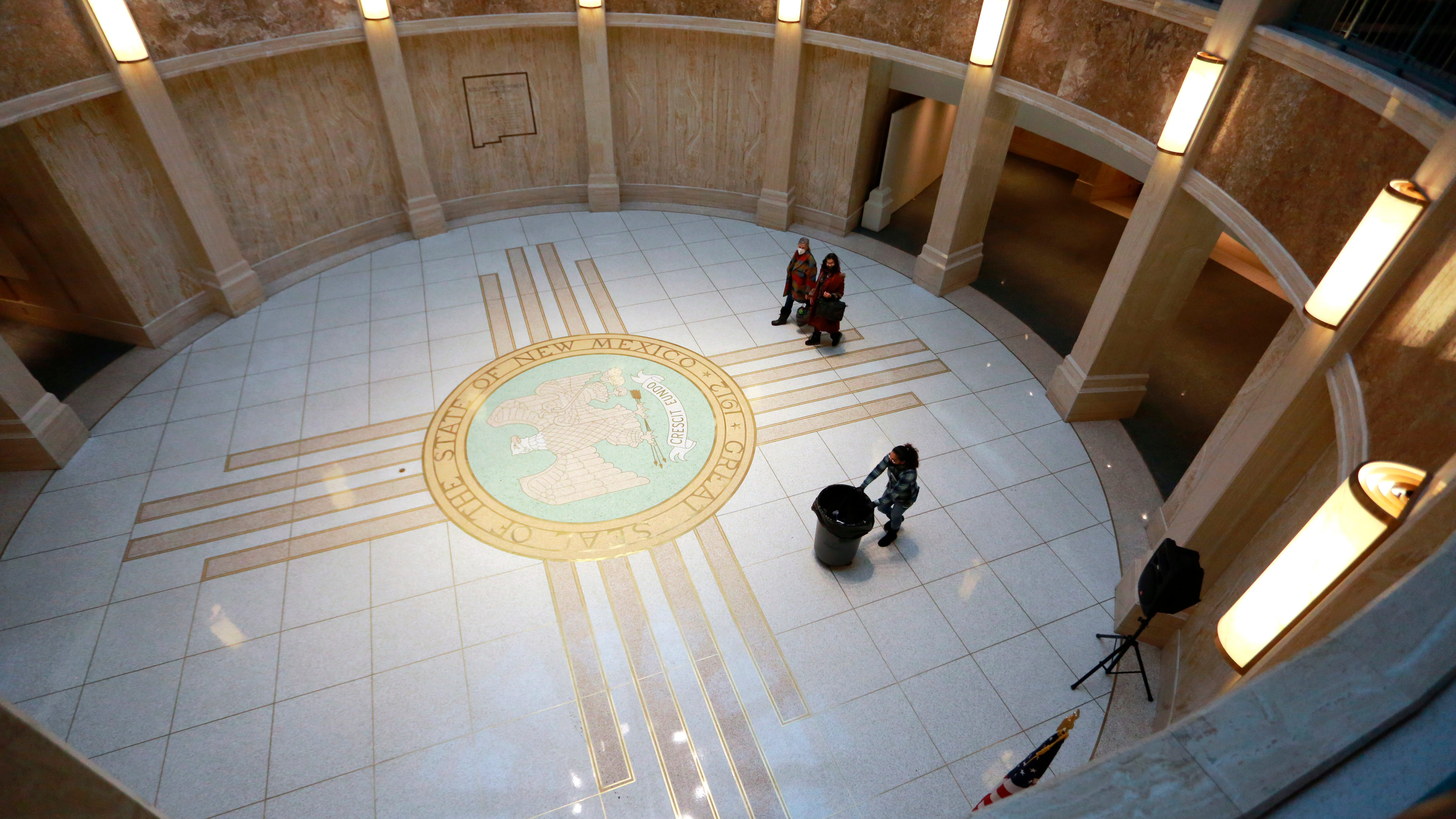 Doctors urge access to psychedelic therapies in New Mexico