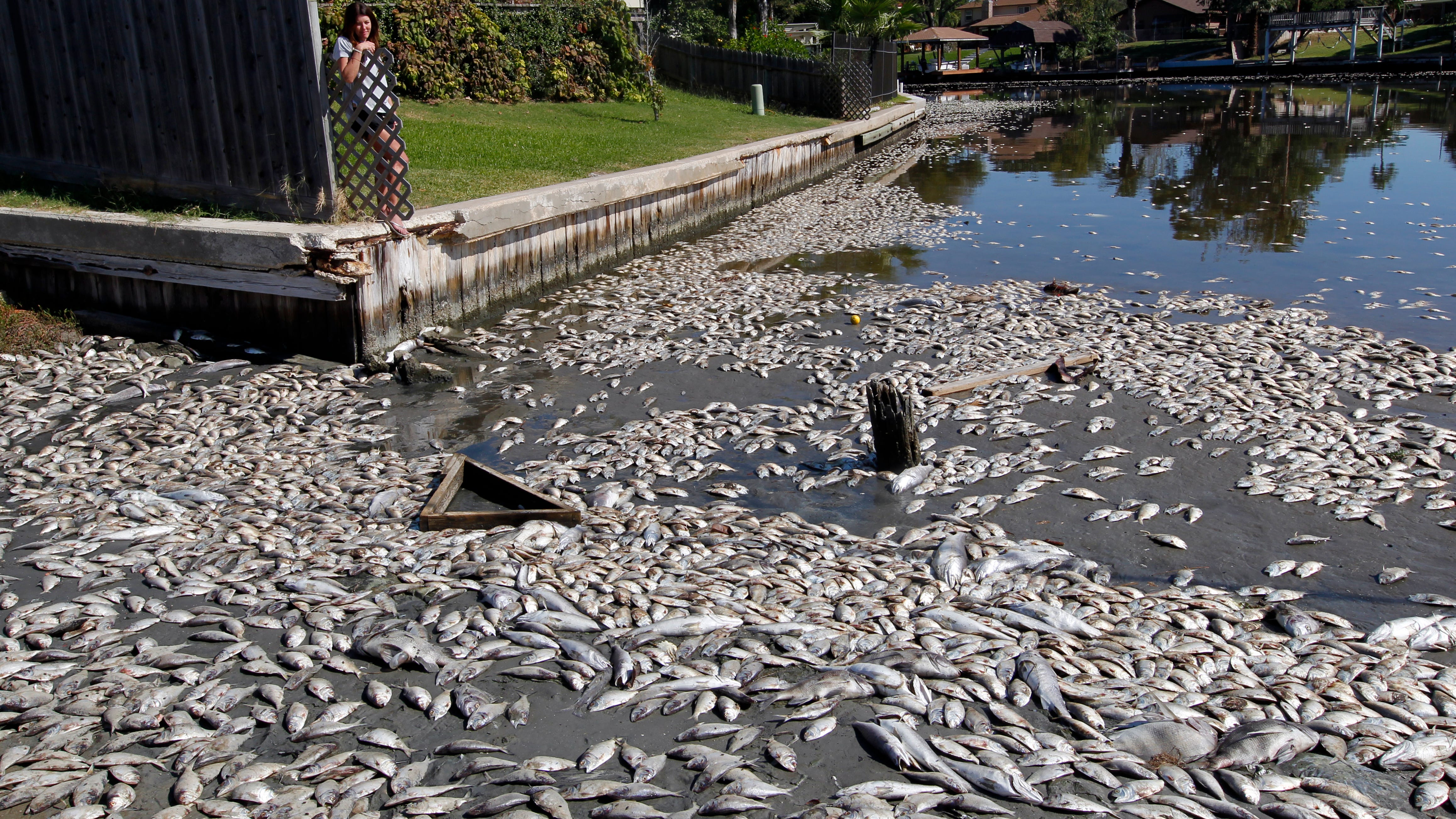Hundreds of lakes in U.S., Europe are losing oxygen