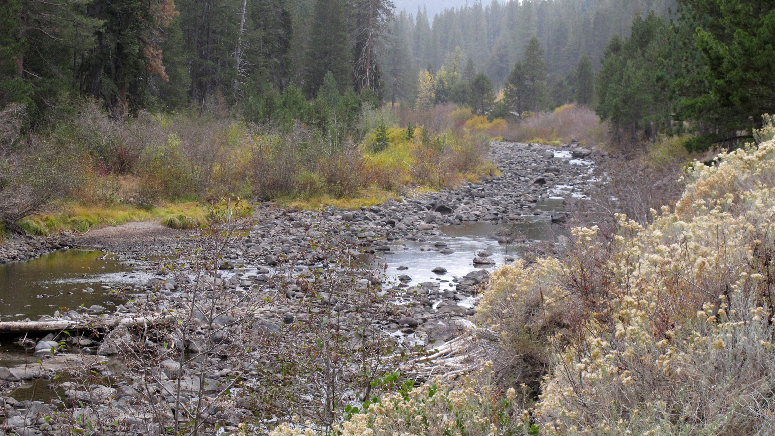 Climate change disrupting natural cycles at drier Lake Tahoe