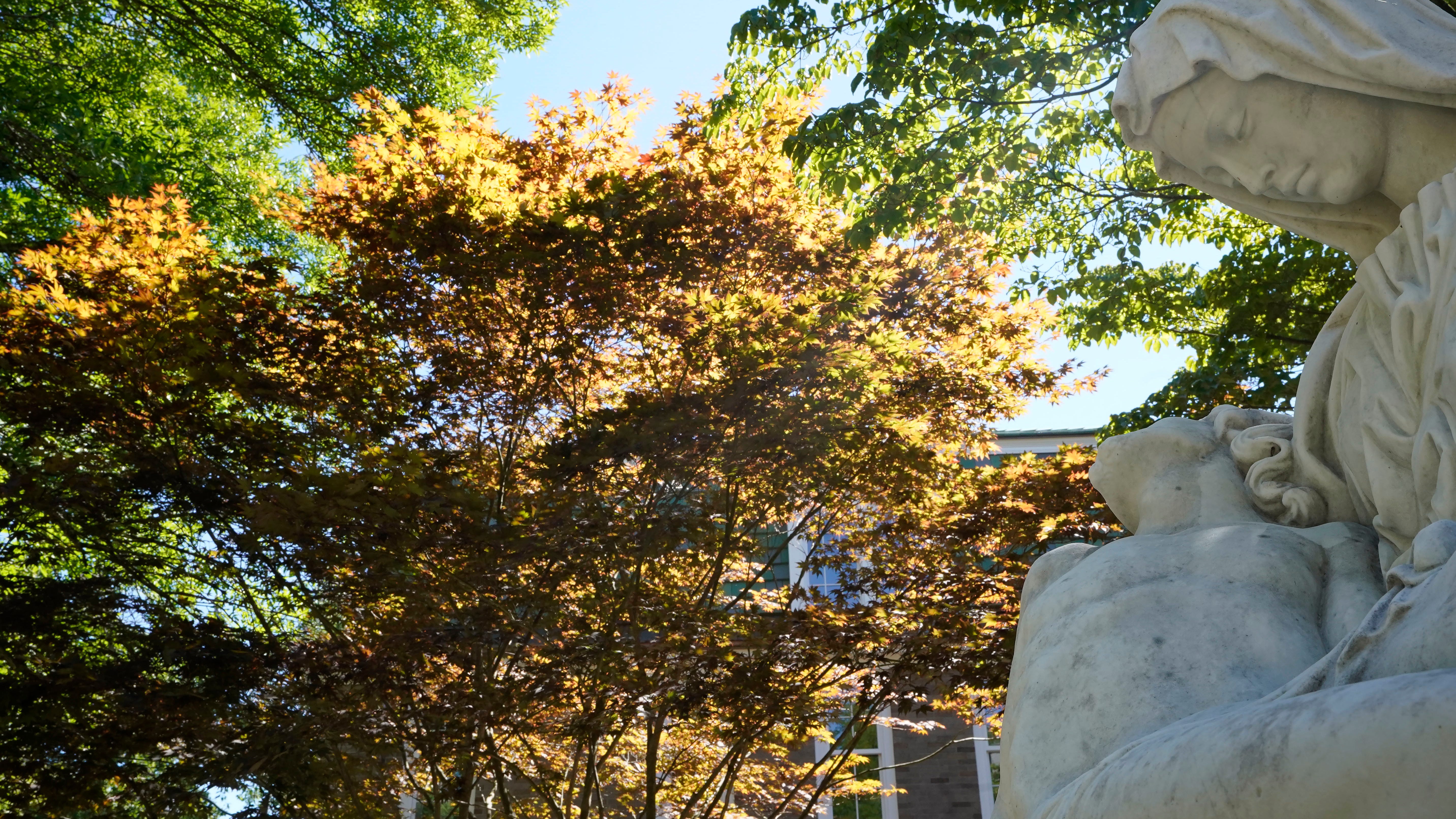 Spotty fall colors likely in New England amid drought