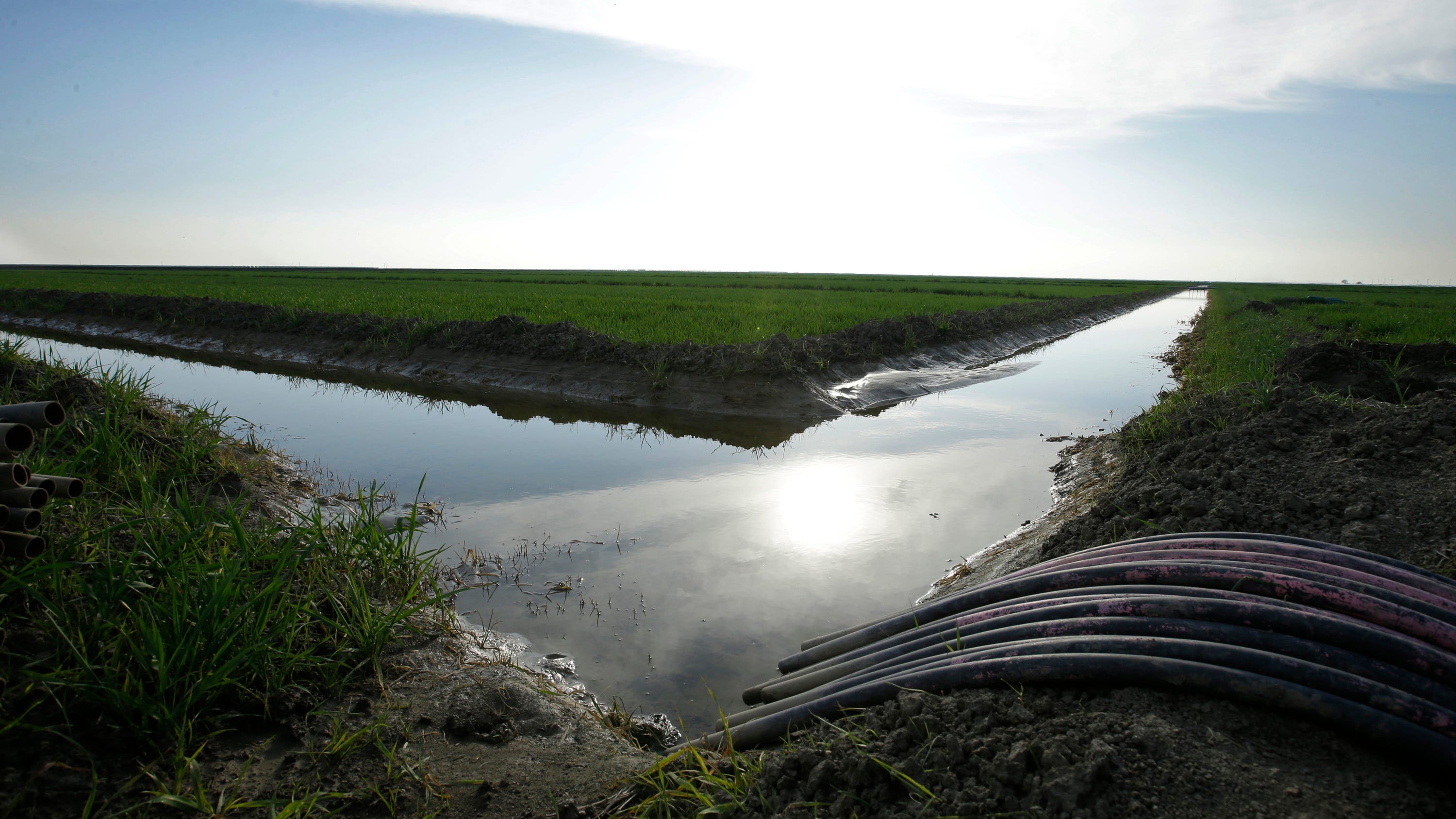 Citing drought, US won't give water to California farmers