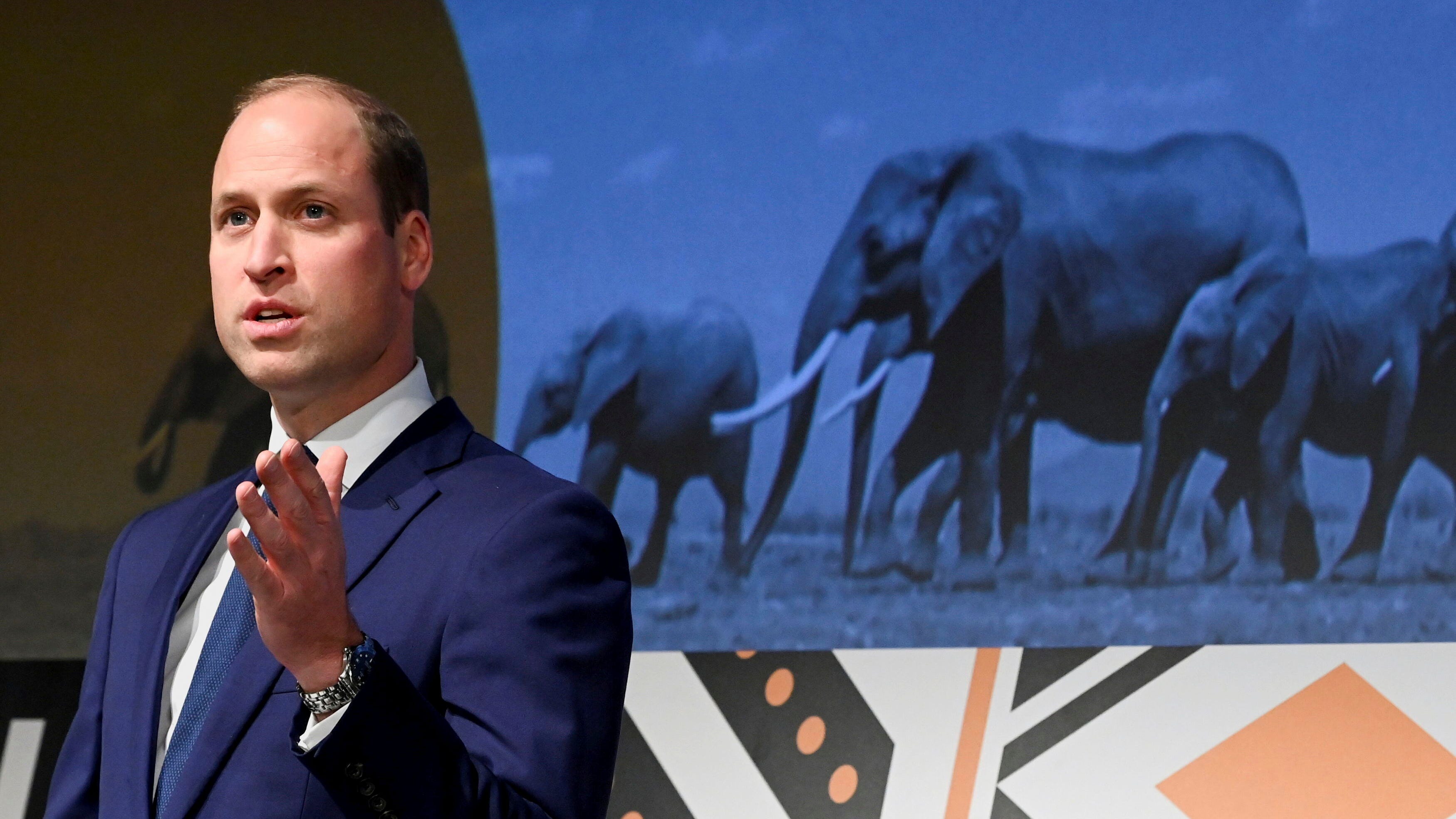 Prince William seeks nominees for $1 million Earthshot prize