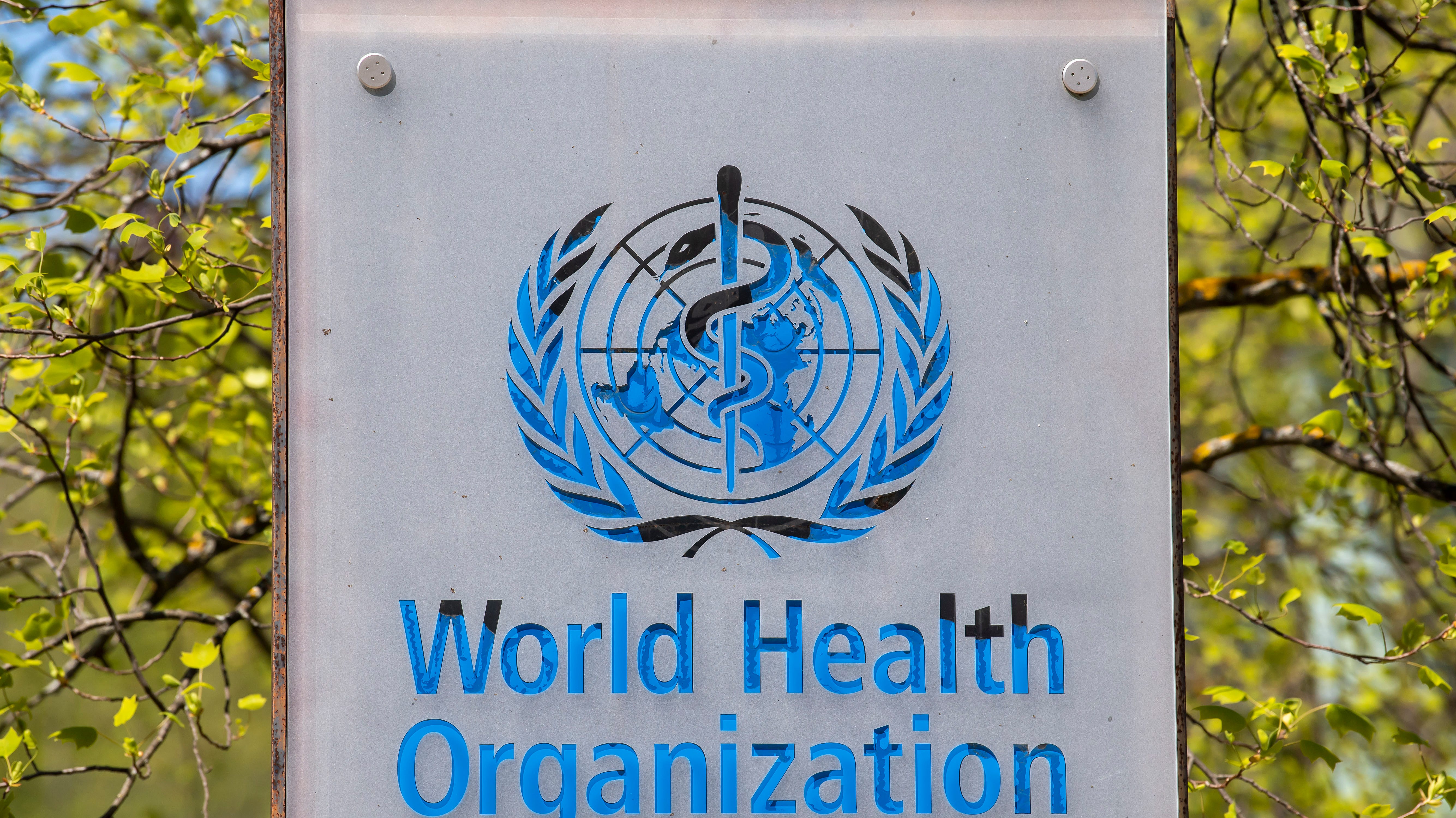WHO: Record weekly jump in COVID-19 cases but fewer deaths
