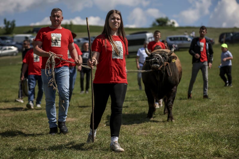 Bosnia Bullfighting Girl